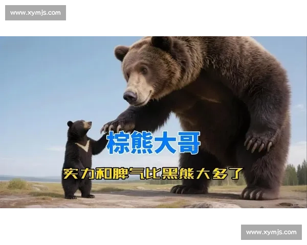 棕熊与黑熊正面对决谁才是森林真正霸主生态实力全面对比解析